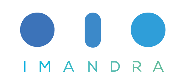 Imandra Inc logo