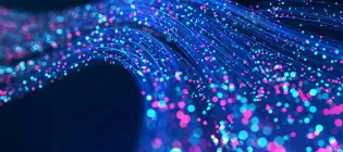 Quantum network