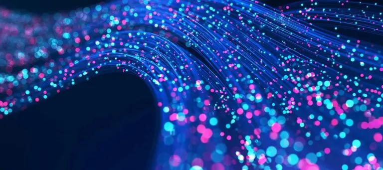 Quantum network