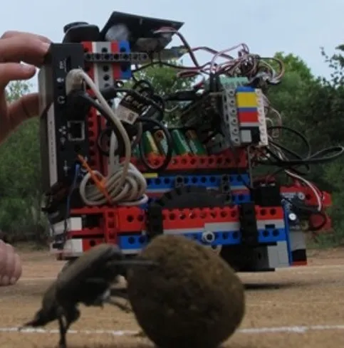 Ultimate Compass robot