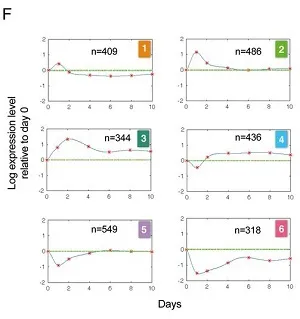 Figure 1F as described in the text
