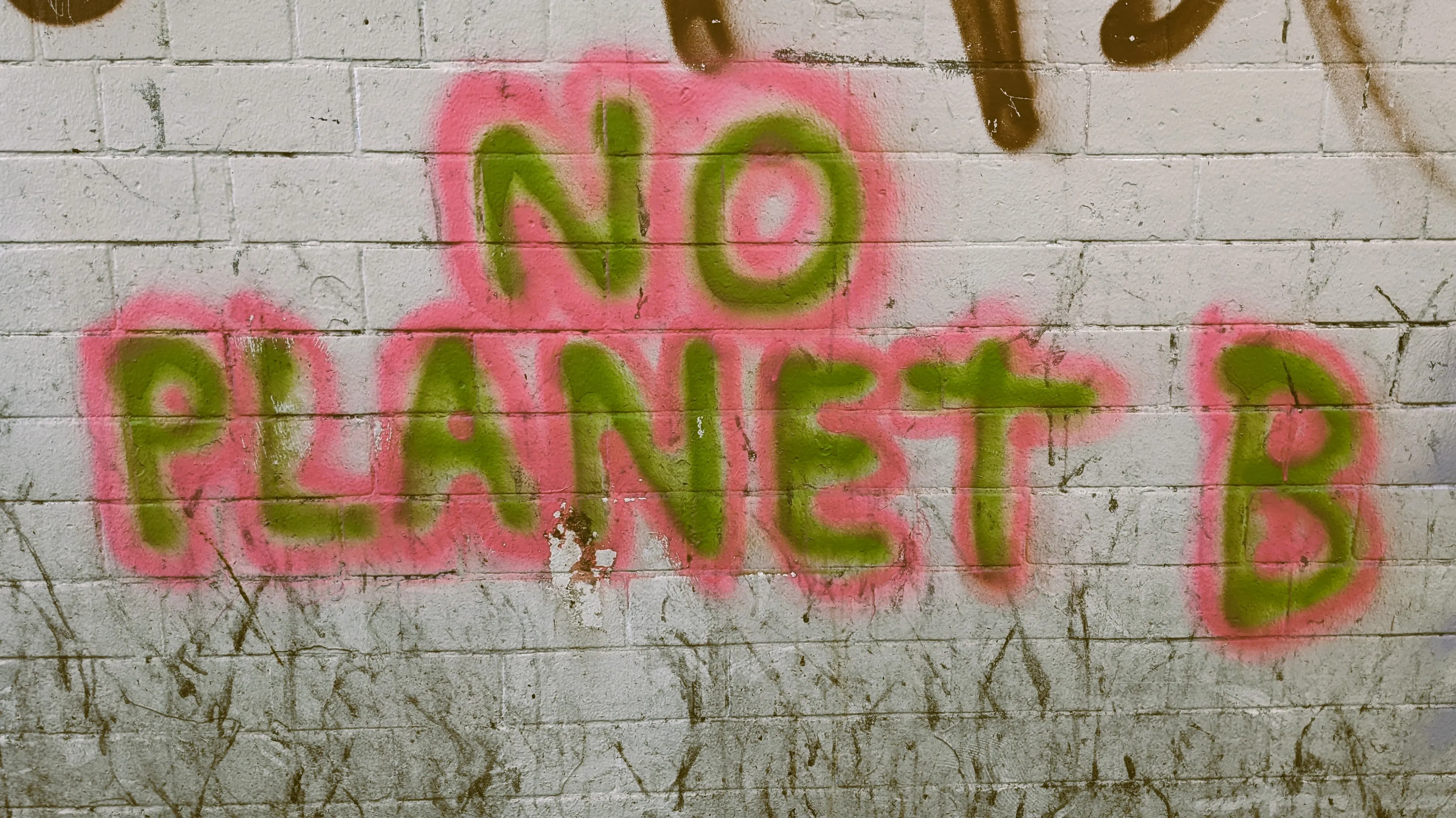 Picture of graffitied text reading 'no planet B' in green and pink capitals, on dirty white brickwork.